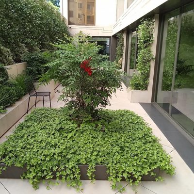 galeria-mantenimiento-mnt-8